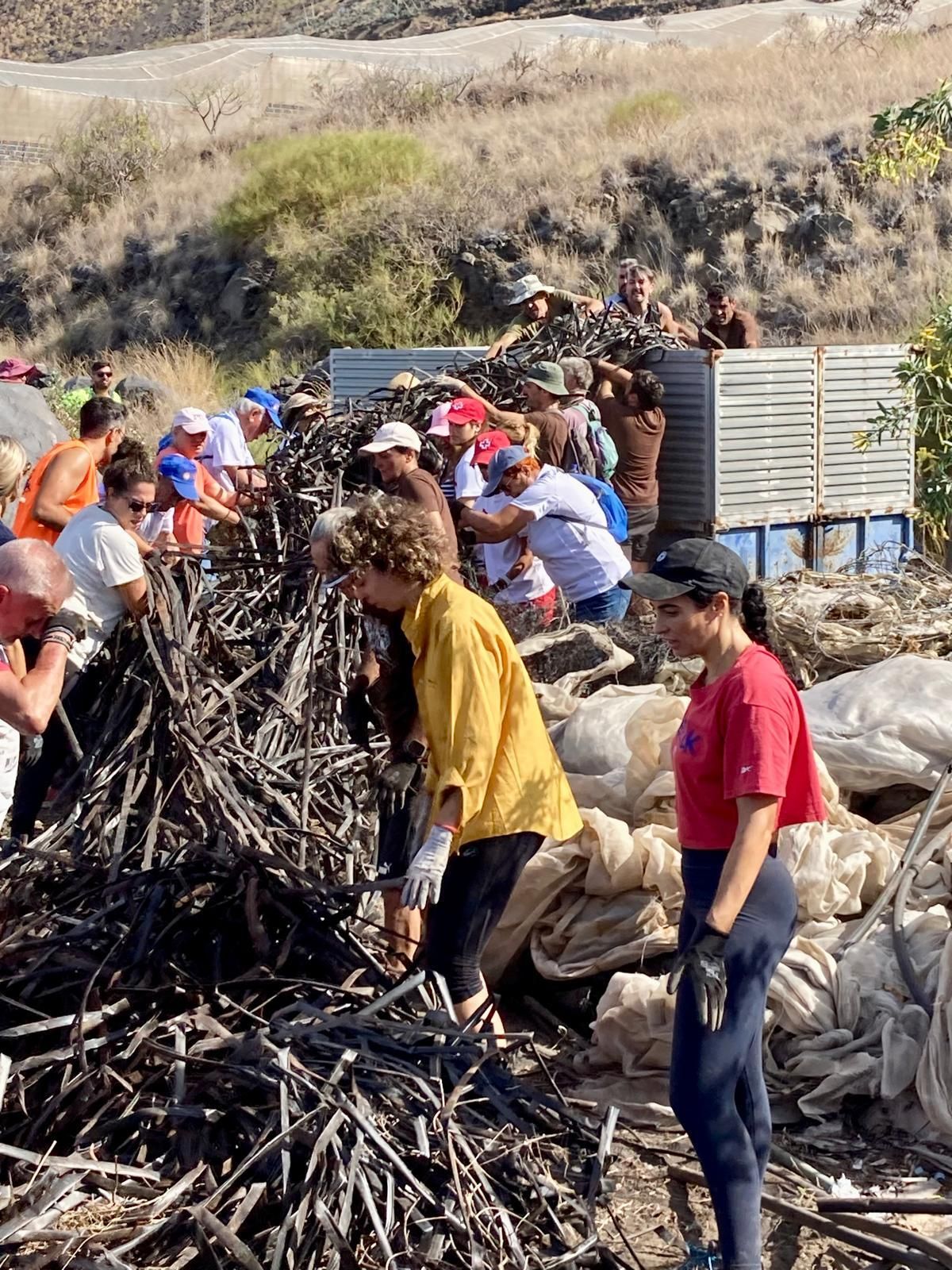 Limpieza de 'basuraleza' en la zona de El Remo.