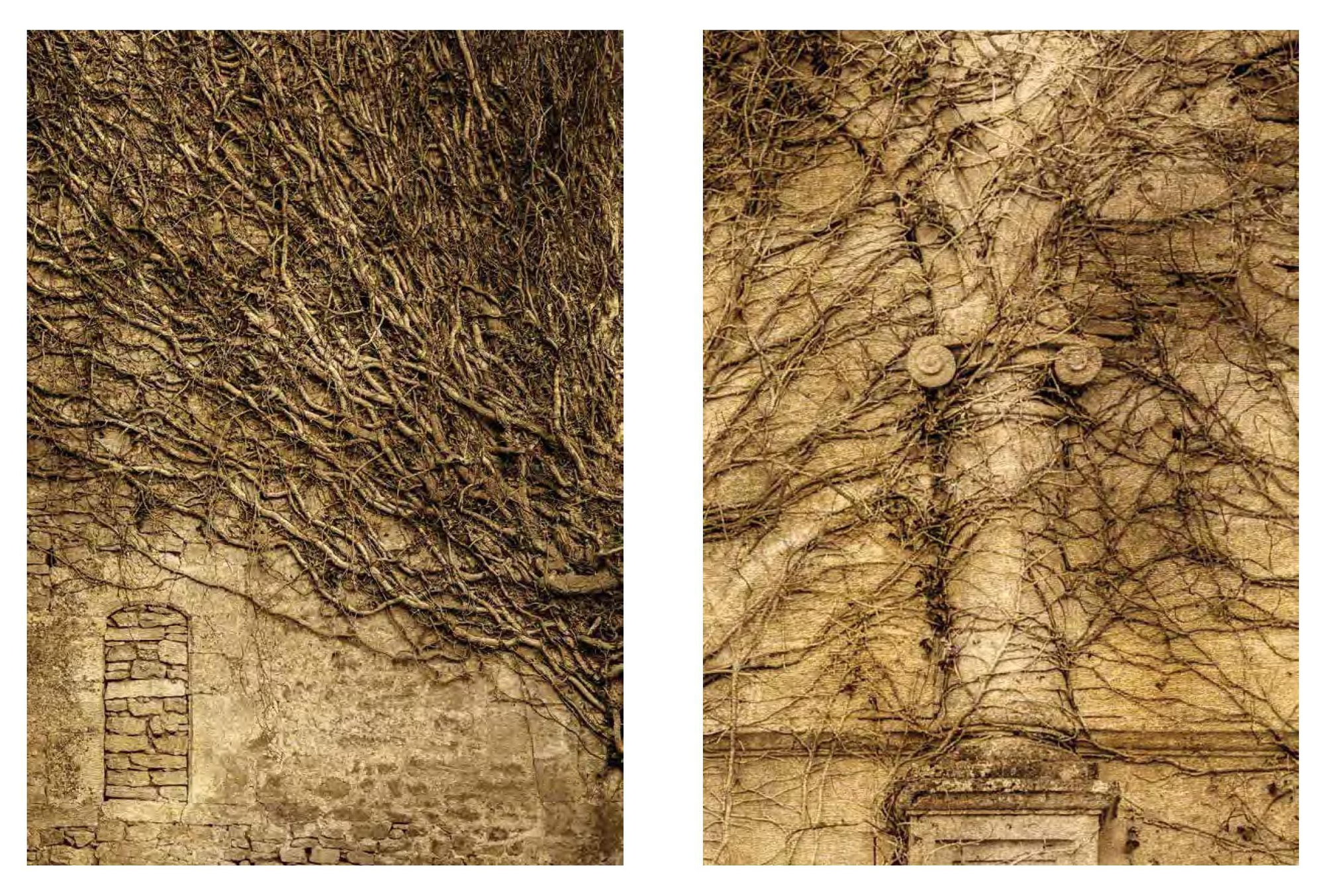 Fotografías del catálogo “Mapa del abandono”, creado para la exposición del monasterio de Santa María de Rioseco (Burgos)