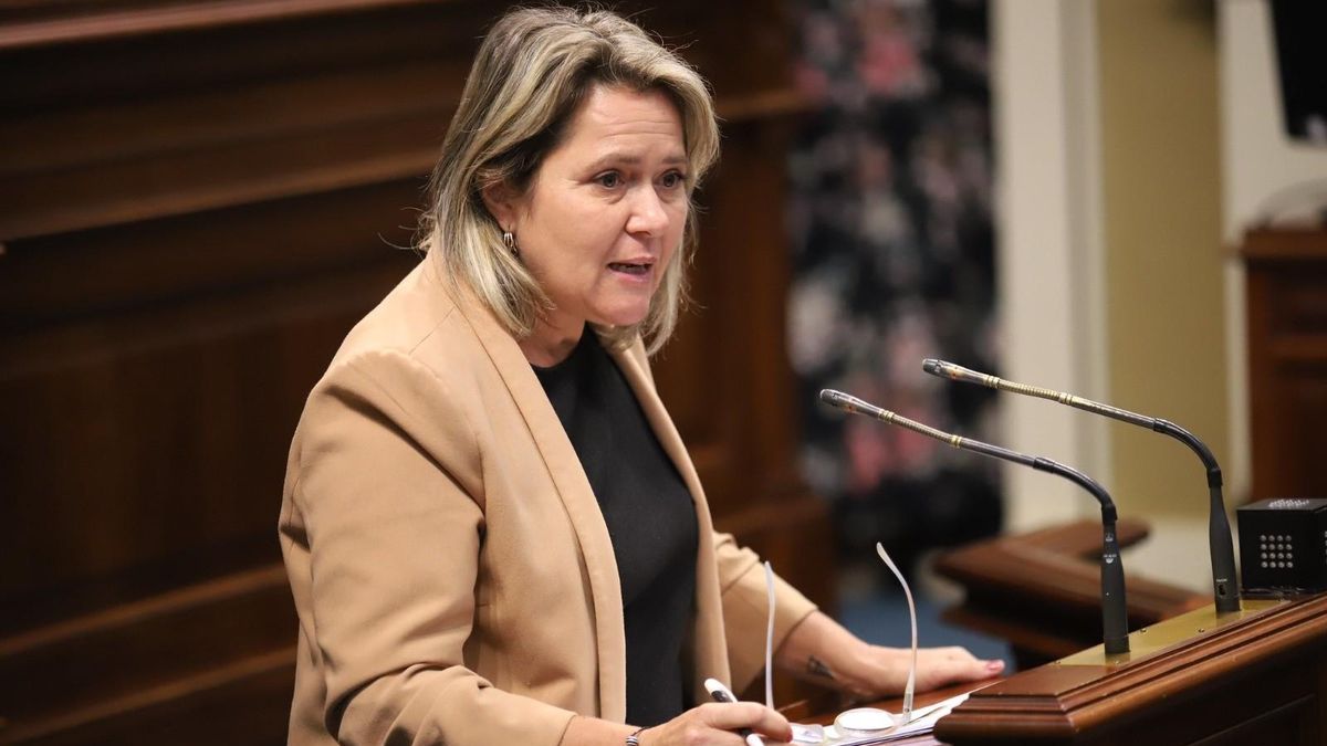 Alicia Vanoostende, diputada del PSOE por La Palma en el Parlamento de Canarias.