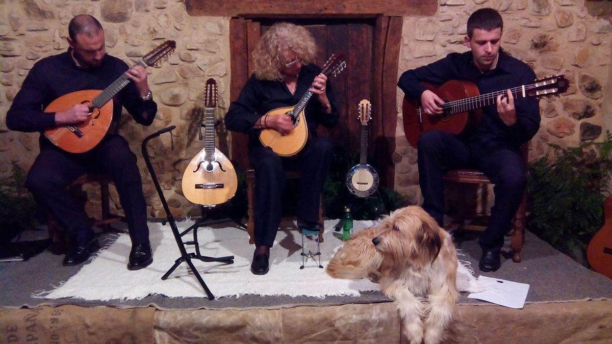 Grupo Gijón de Pulso y Púa, con Carman Brañanova, en una edición de 'Música, Velas y Poesía'.