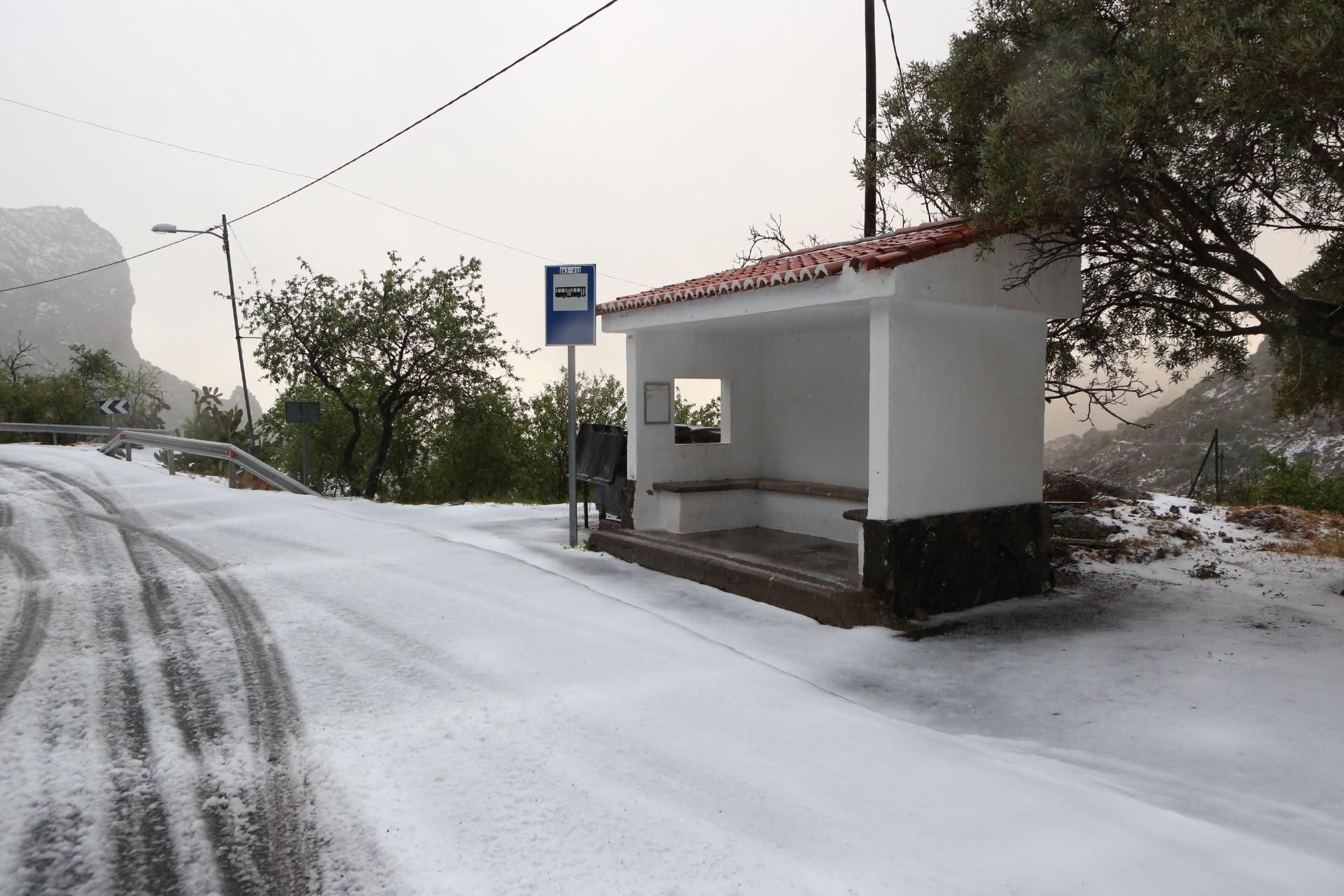 Nieve en Ayacata (ALEJANDRO RAMOS)