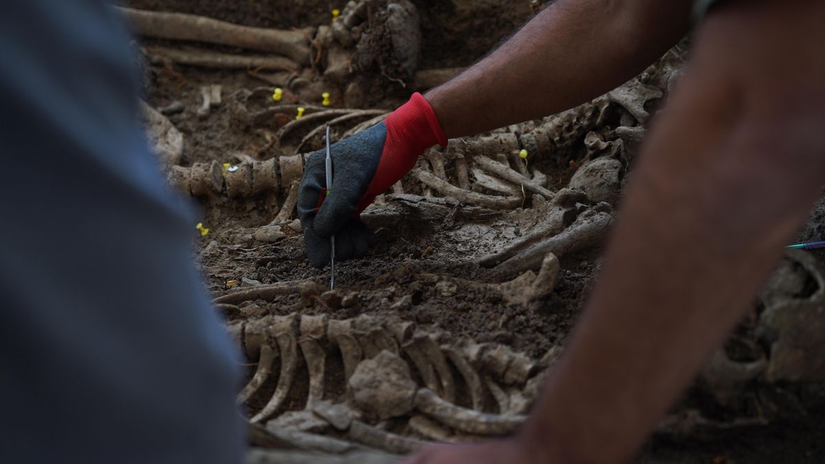 Trabajos de exhumación de víctimas del franquismo en el cementerio de Bodonal de la Sierra (Badajoz)