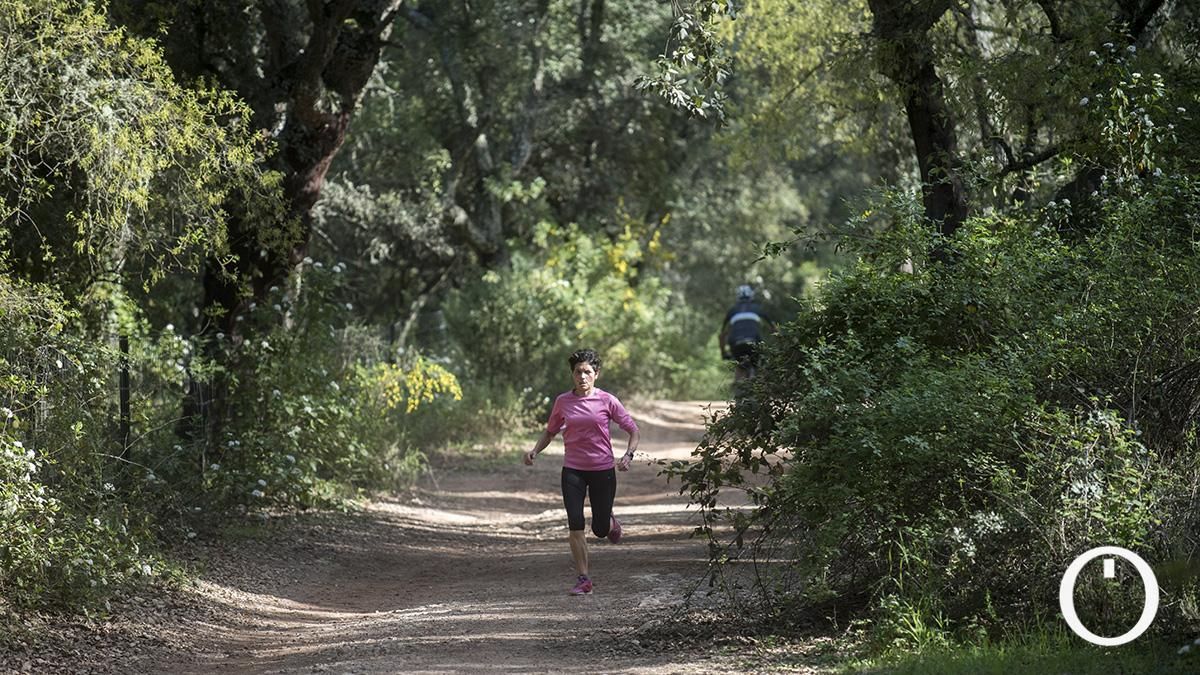 El Gobierno reserva cuatro zonas de Sierra Morena para investigar minerales en Córdoba y Jaén