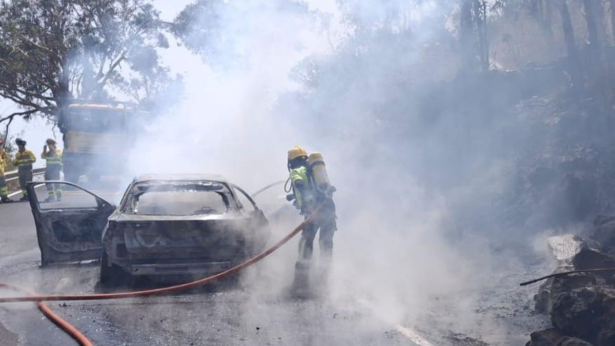 El operativo de extinción apagando el fuego.