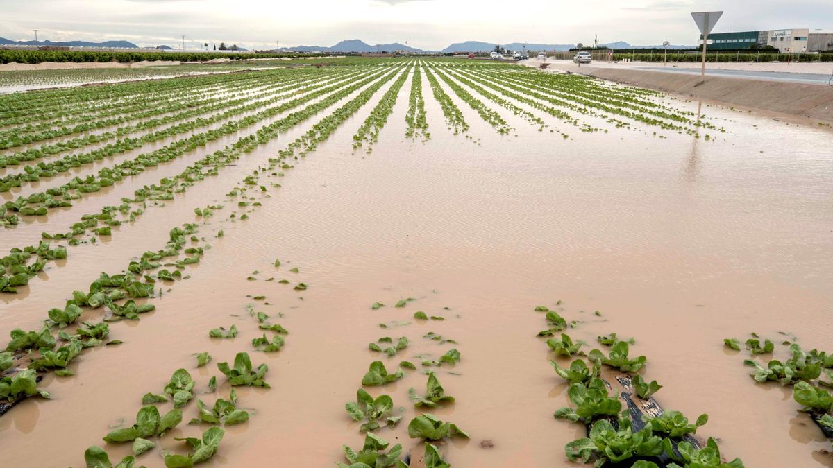 Recuperar la memoria de un cauce para proteger de las inundaciones a 8.600 vecinos de Murcia