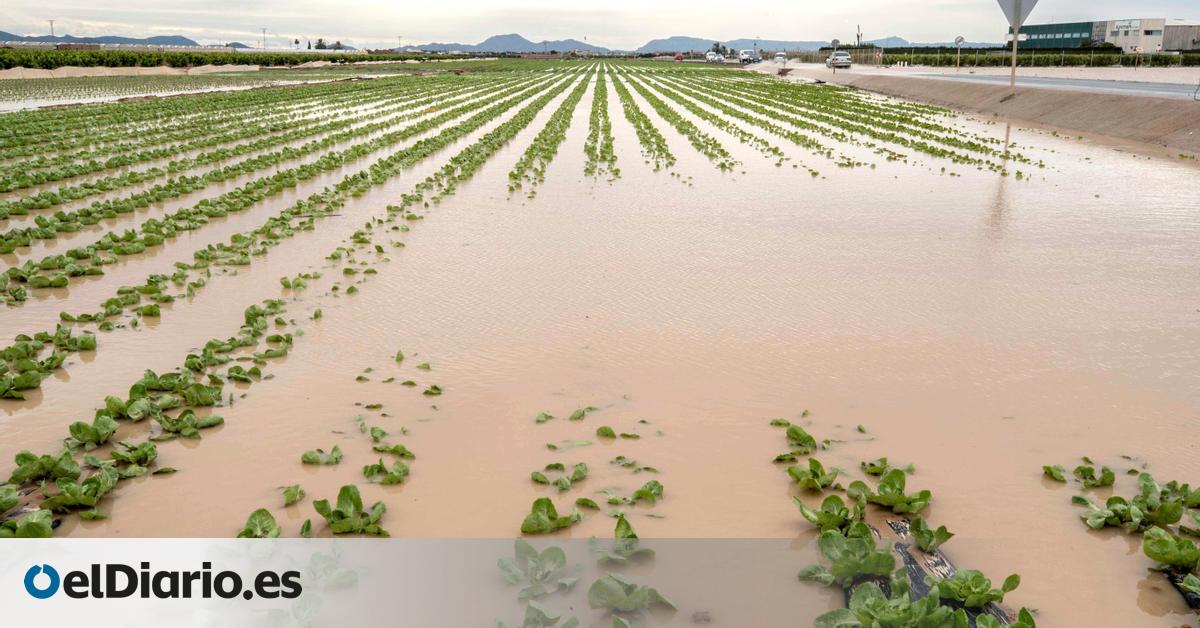 Recuperar la memoria de un cauce para proteger de las inundaciones a 8.600 vecinos de Murcia