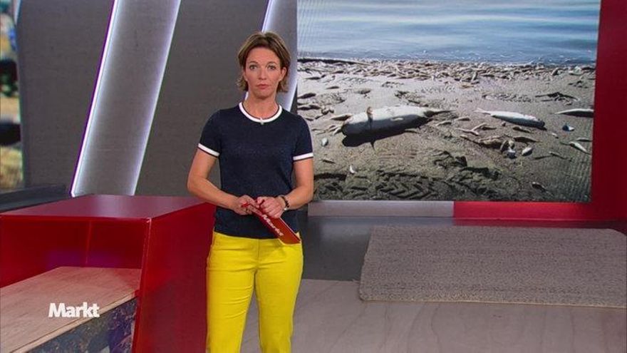 Reportaje sobre el Mar Menor del Westdeutscher Rundfunk