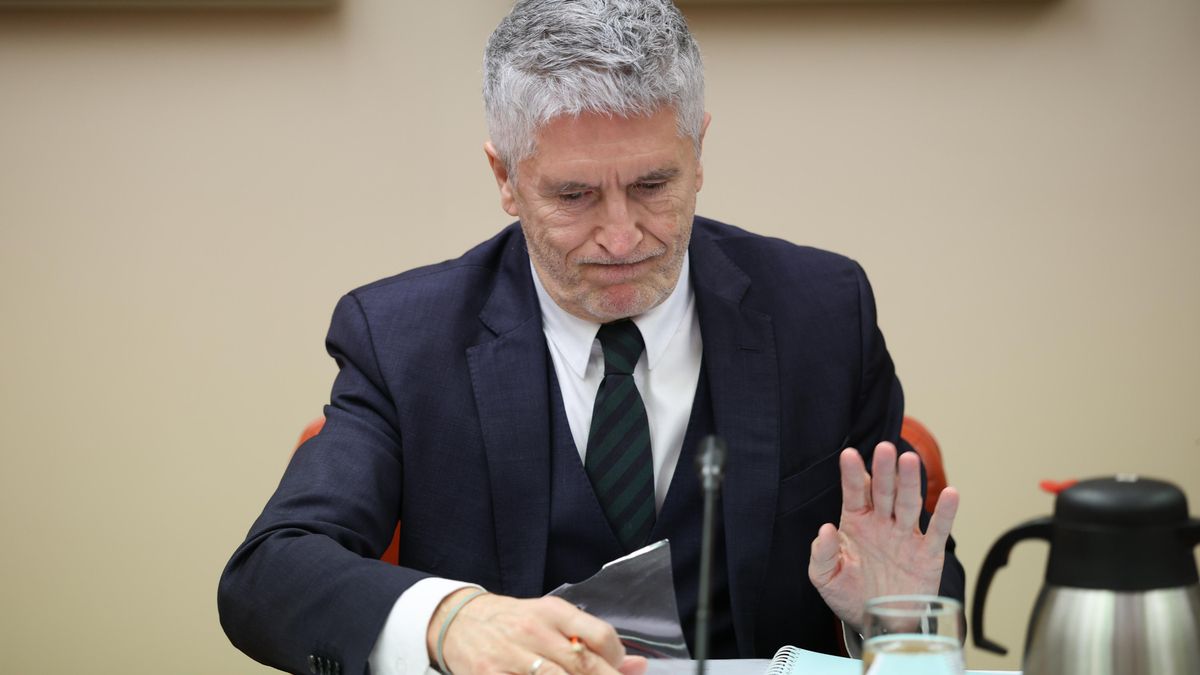 El ministro Fernando Grande-Marlaska, este miércoles en el Congreso.