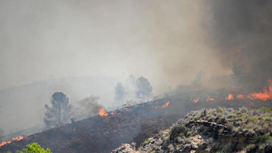 Varios focos en el incendio forestal declarado en Los Gallardos, Almería.