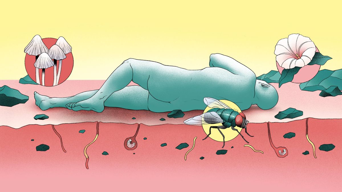 Para qué vivir tanto: lo que la inmortalidad esconde
