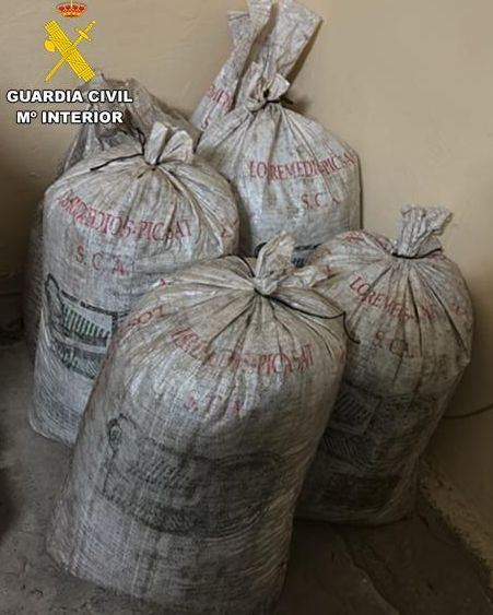 Aceitunas recuperadas