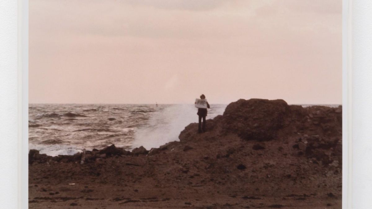 Bas Jan Ader, Untitled (The elements)