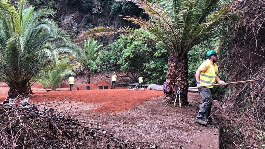 Barlovento impartirá dos proyectos de formación en alternancia con el empleo' en 2022