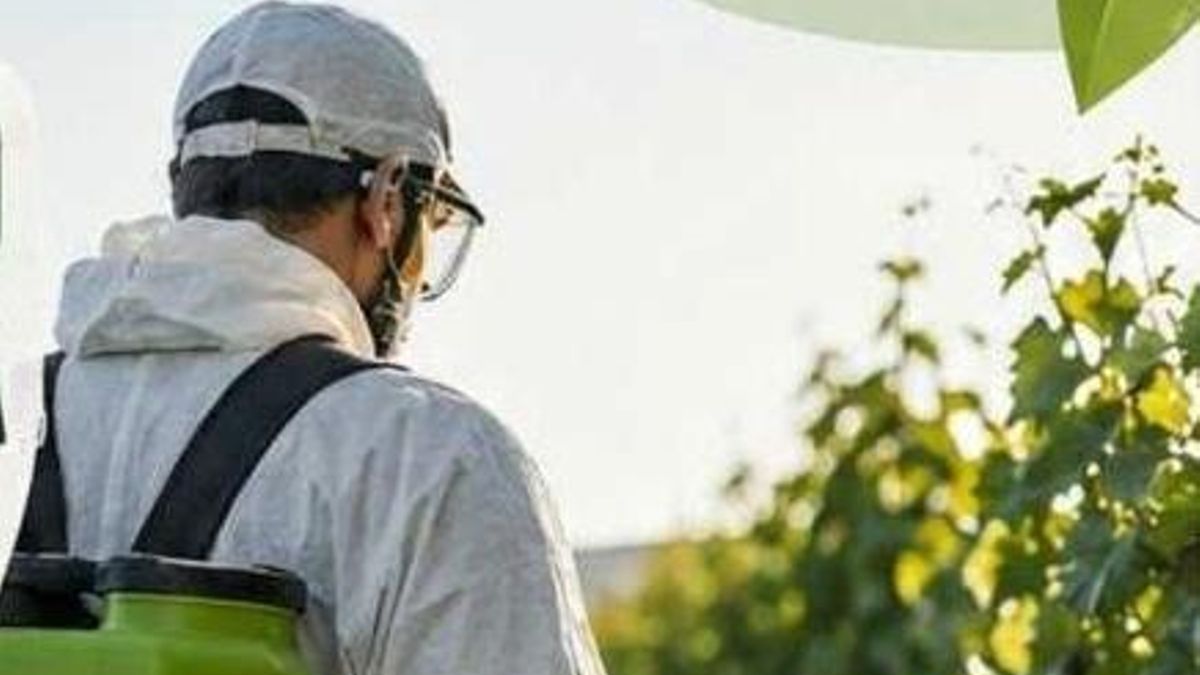 Villa de Mazo facilita formación para el uso y manipulación de productos fitosanitarios