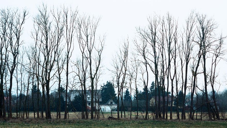 La historia del pueblo alemán donde se suicidaron 1.200 personas: “Es un lugar marcado por el silencio y el trauma”