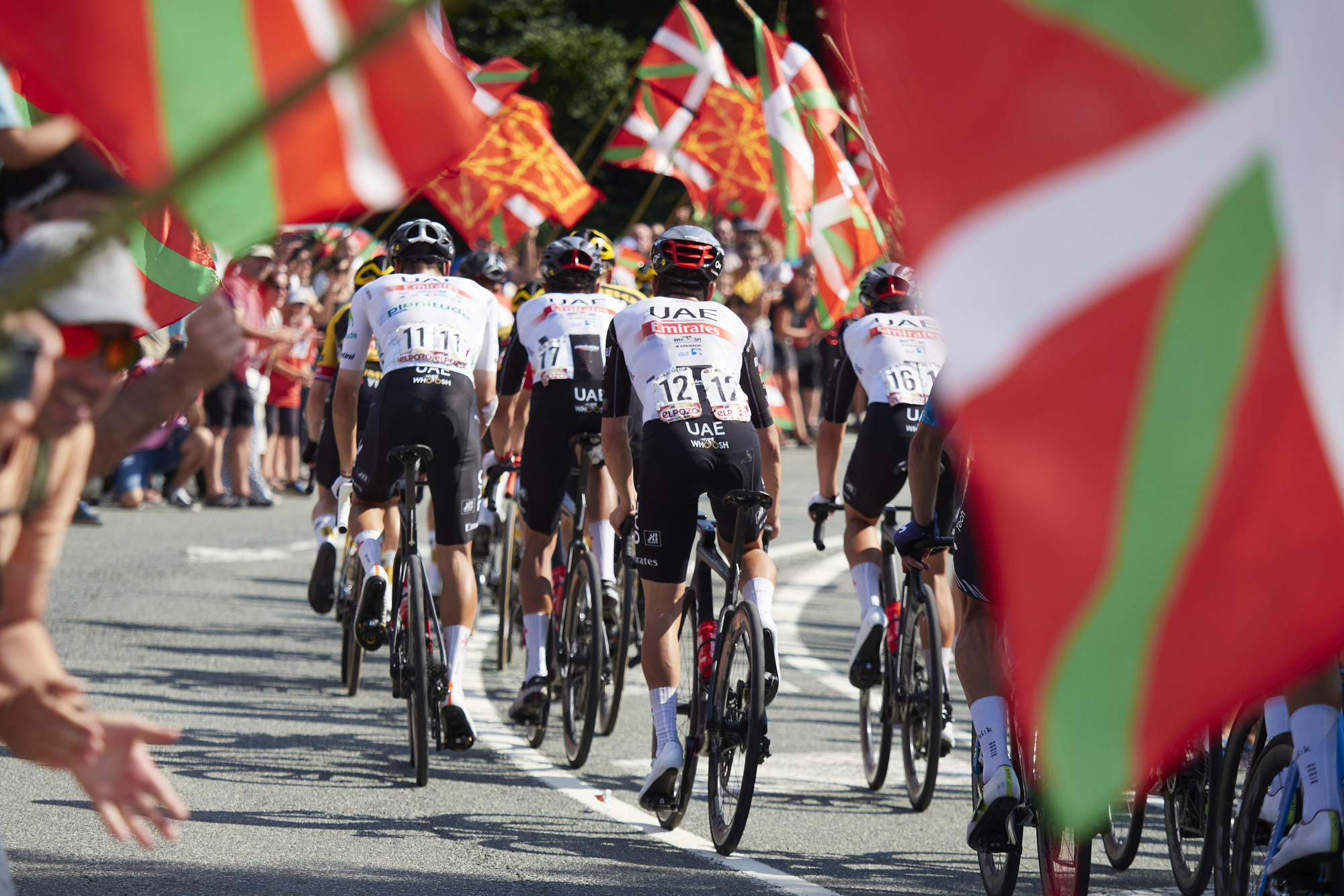 Paso del pelotón ciclista por una carretera navarra.