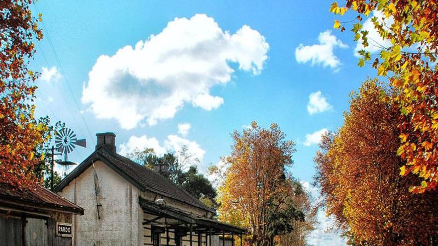 Calendario de eventos turísticos del jueves 2 al jueves 9 de noviembre en la provincia de Buenos Aires