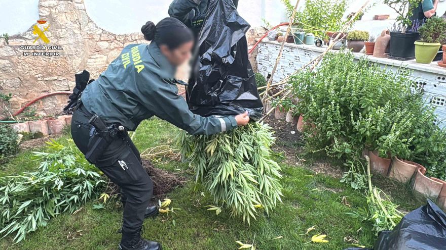 El fuerte olor permite desmantelar un cultivo de marihuana en una vivienda de Arrúbal y hay dos detenidos