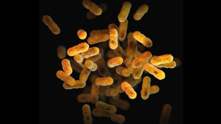 No, no tienes dos kilos de bacterias en tu cuerpo ni su desequilibrio causa la mayoría de enfermedades