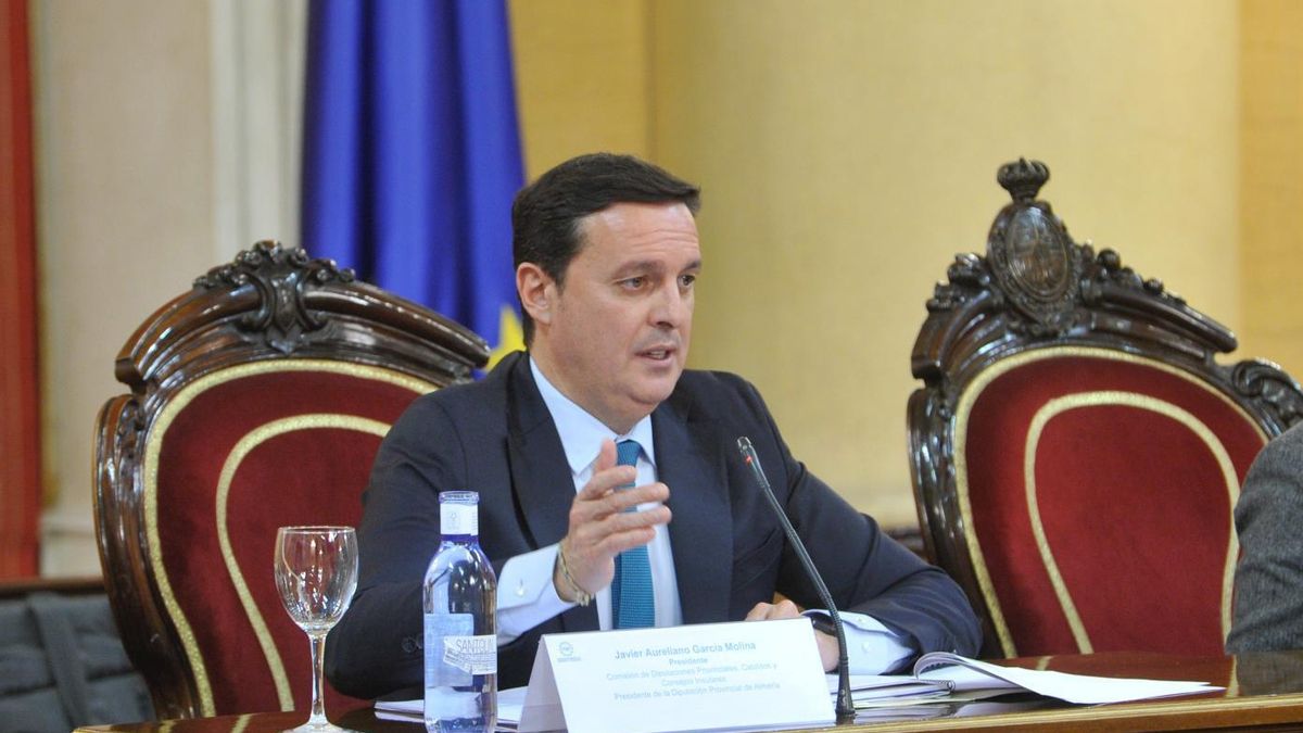 El presidente del PP de la Diputación de Almería renuncia tras ...