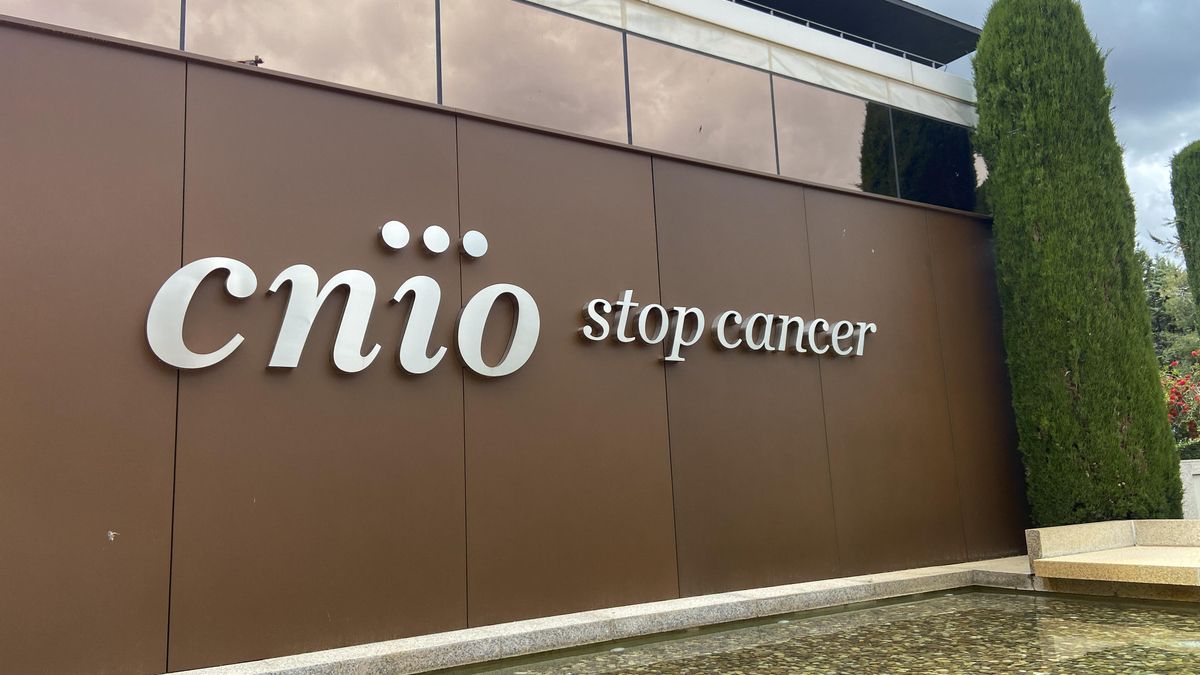 Un juez dictamina que el exdirector de operaciones del CNIO fue represaliado por denunciar la corrupción en el centro
