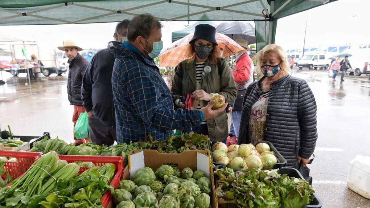 Los agricultores de cercanía del rastro de Zaragoza denuncian el cambio de ubicación y la adjudicación de puestos