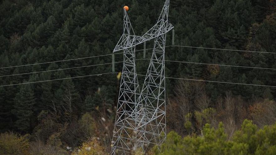 Álava cree que el tendido eléctrico unido a la planta de biomasa de Lantarón perjudicará zonas de interés ambiental