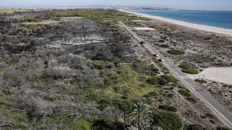 Los bomberos de València señalan a la jefatura y a Catalá por la desorganización en El Saler y denuncian jornadas de hasta 16 horas