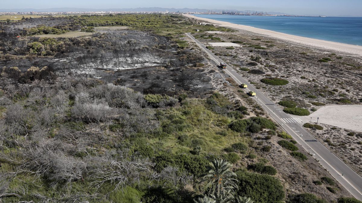 Los bomberos de València señalan a la jefatura y a Catalá por la desorganización en El Saler y denuncian jornadas de hasta 16 horas