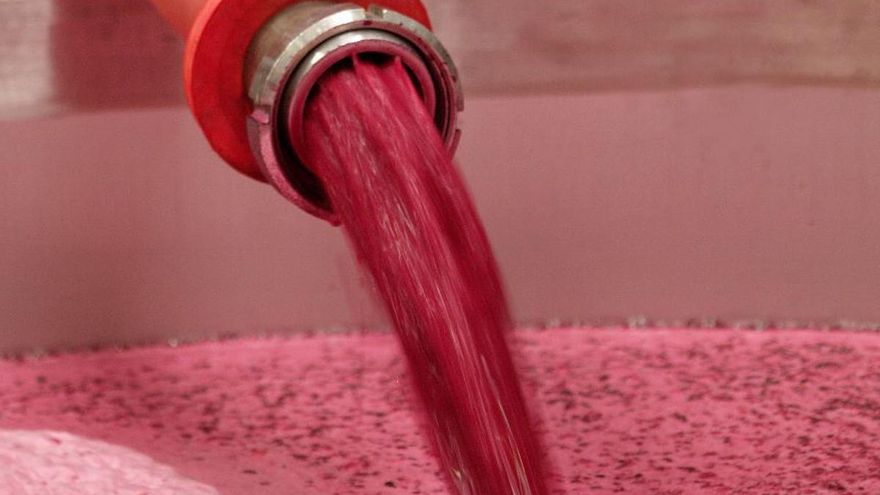 El juez archiva la causa contra las bodegas Félix Solís y García Carrión por estafa en la comercialización de vinos