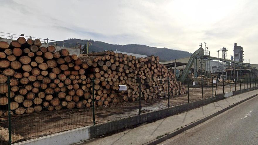 La plantilla de Maderas de Llodio secunda en su totalidad la huelga para rechazar la propuesta de despedir a 39 empleados