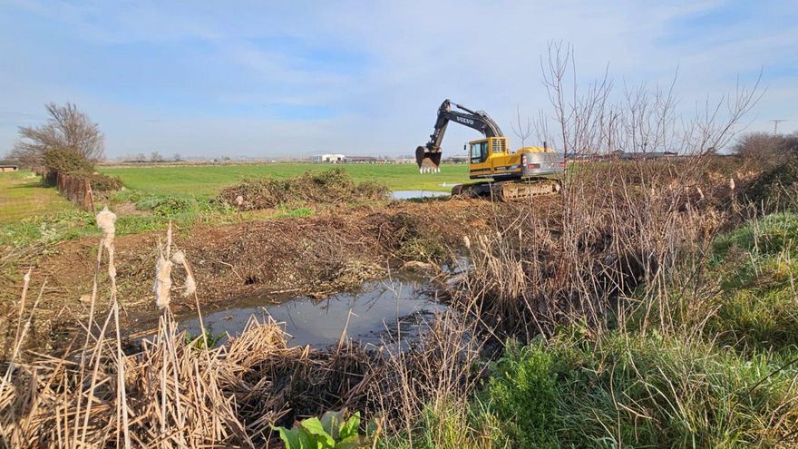 Las organizaciones agrarias reclaman a la Confederación del Tajo que actúe en los cauces: "Ni limpian, ni nos dejan limpiar"