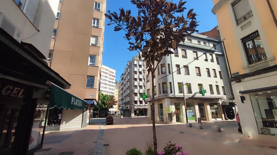 Los 14 magnolios plantados en jardineras en las nuevas calles peatonales del centro de León se han secado