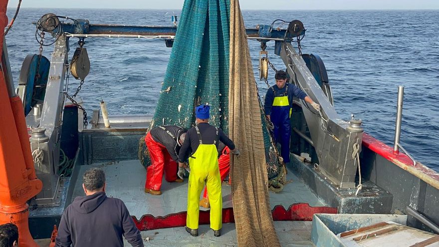 Qué baratas están las gambas