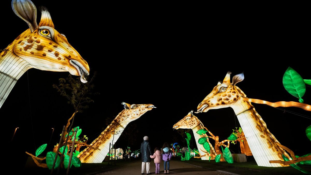 Una de las instalaciones lumínicas que se instalaron en el parque Juan Carlos I en 2023