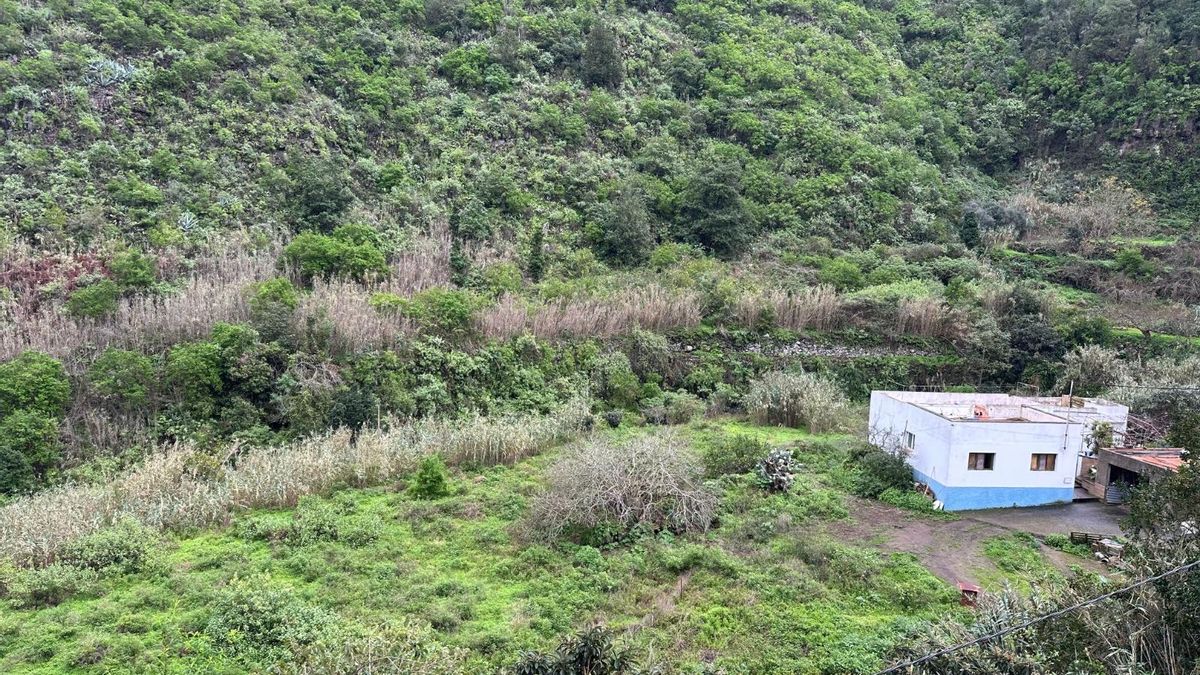 Finca en barbecho en el Barranco del Laurel, en Gran Canaria.