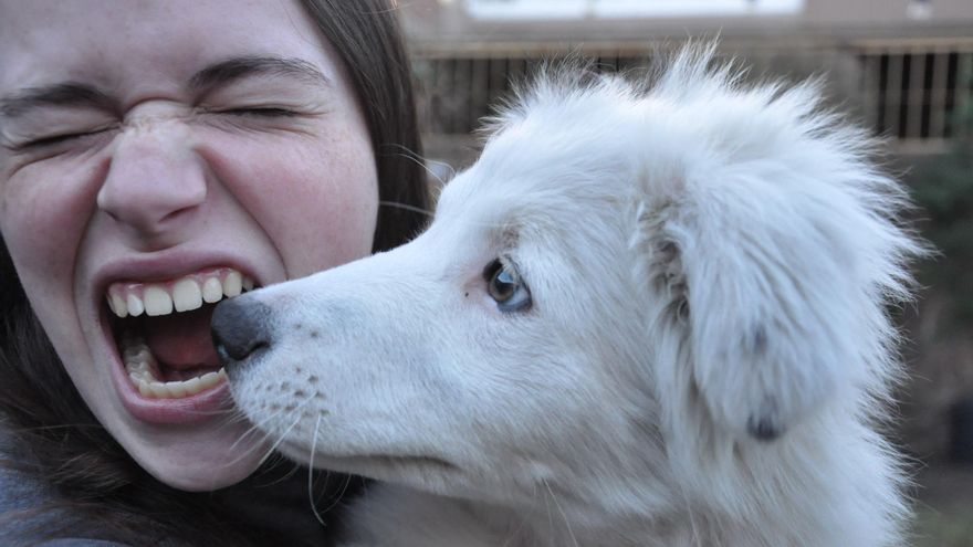 ¿Es buena idea dormir con tu mascota?