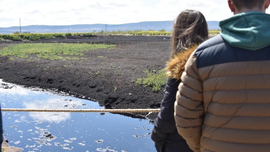 Visita a las balsas de alpechín en recuperación.