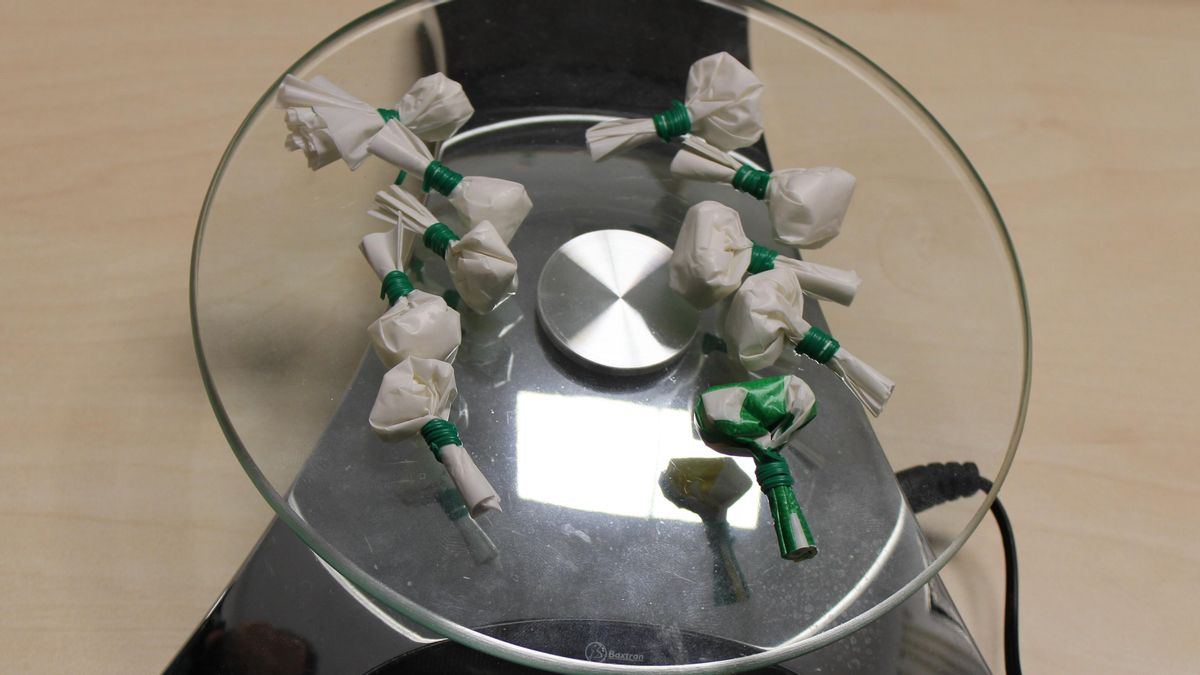 Detenido un presunto traficante de drogas que trató de escapar ocultándose entre la multitud de la feria de Palma