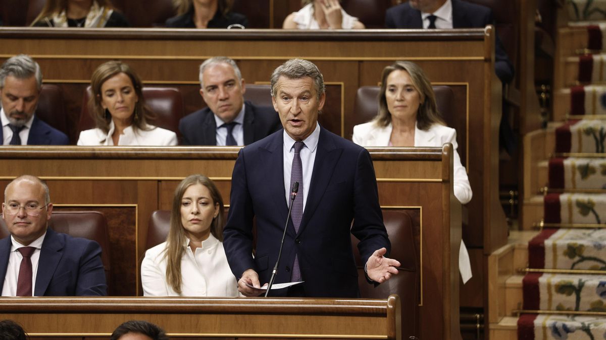 El líder del Partido Popular, Alberto Núñez Feijóo, interviene este miércoles durante la sesión de control del Congreso de los Diputados en Madrid. EFE/ Rodrigo Jiménez