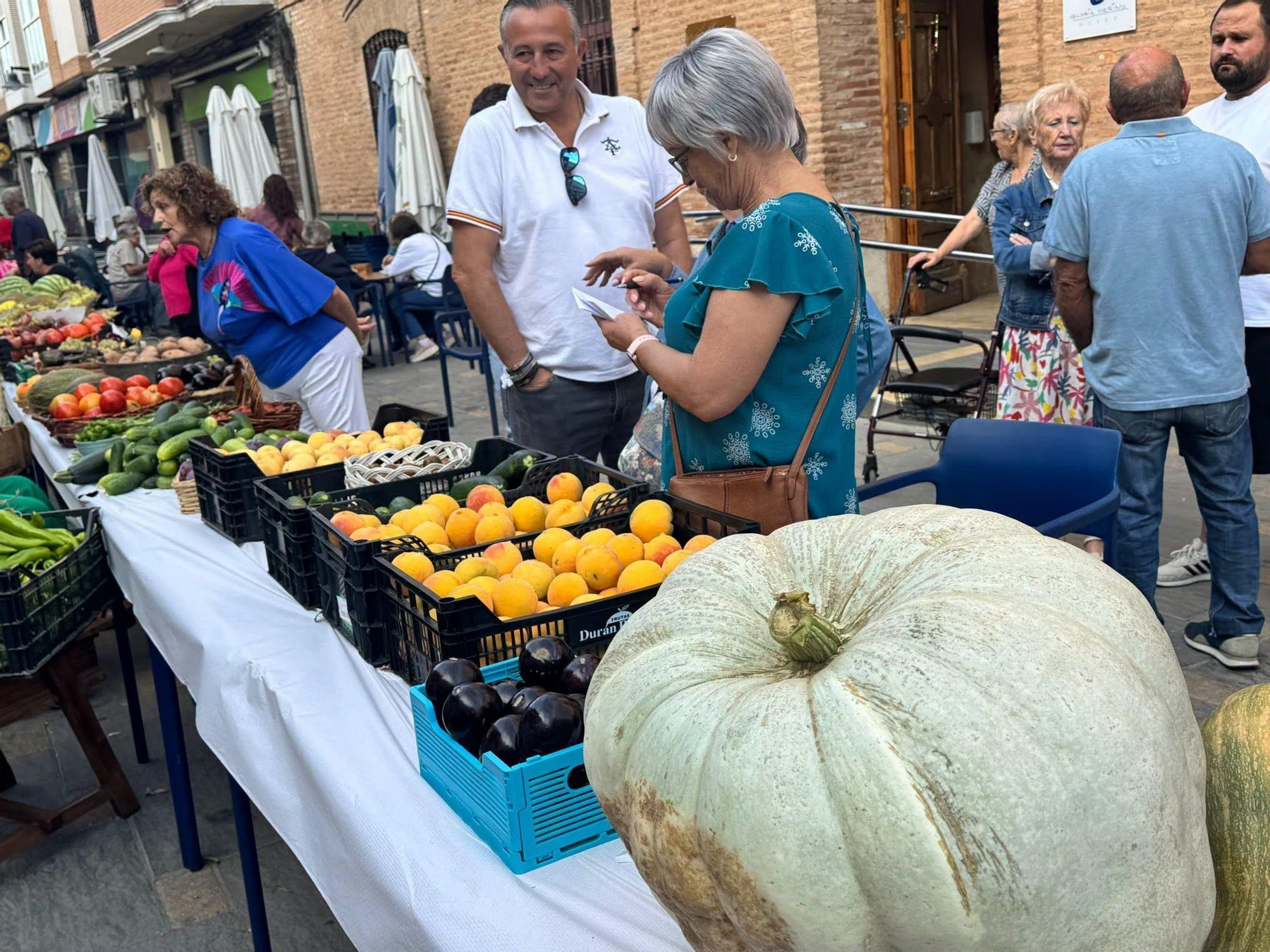 Frutas y hortalizas de Malagón. AYUNTAMIENTO