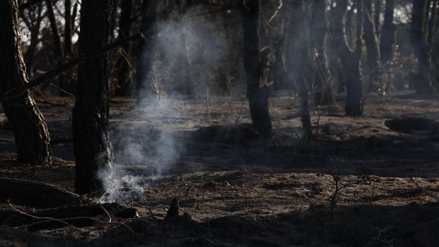 Extinguido el incendio forestal de Méntrida (Toledo), que ha quemado unas 3.100 hectáreas