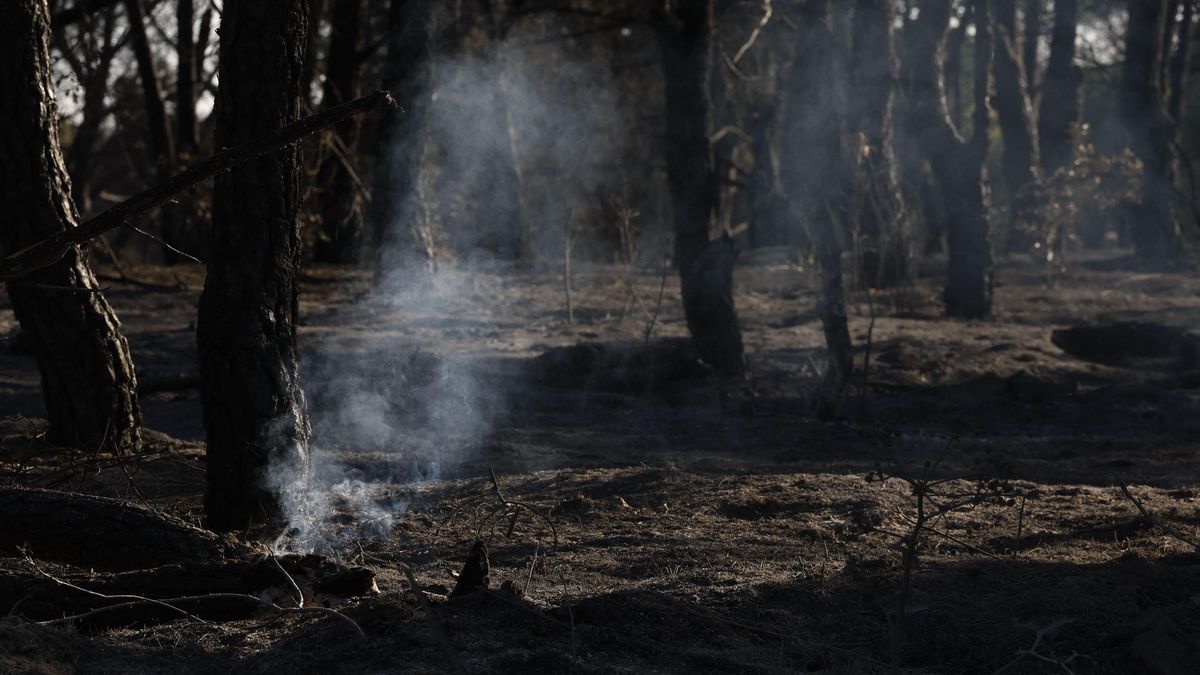 Rescoldos del fuego en Méntrida (Toledo). EFE/ Chema Moya