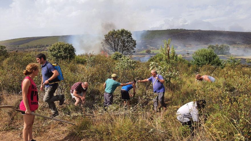 Indignación por la falta de medios para atajar el incendio de la Sierra de la Culebra: “Los políticos solo vienen a la España vaciada a hacerse la foto”