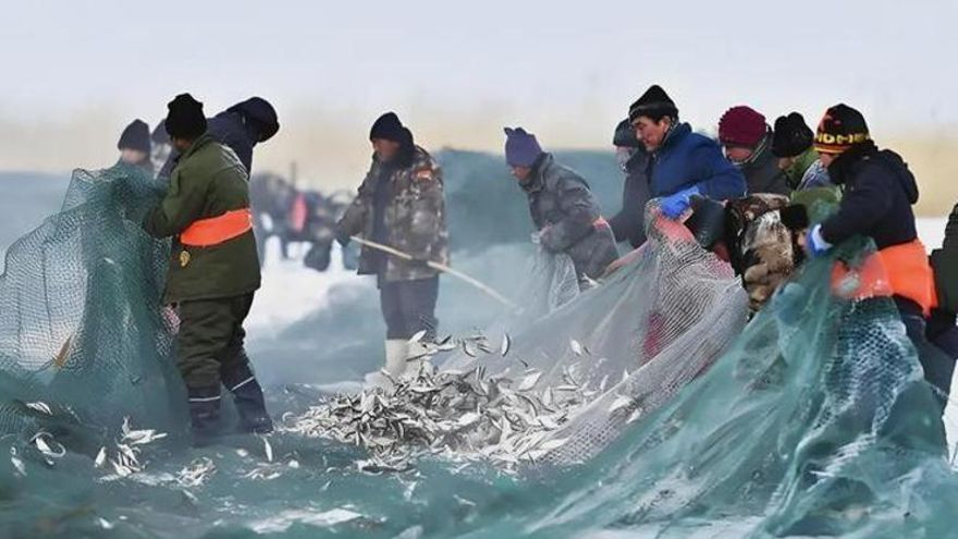 China convierte el corazón del desierto de Xinjiang en una granja marina que ya produce cientos de toneladas de marisco