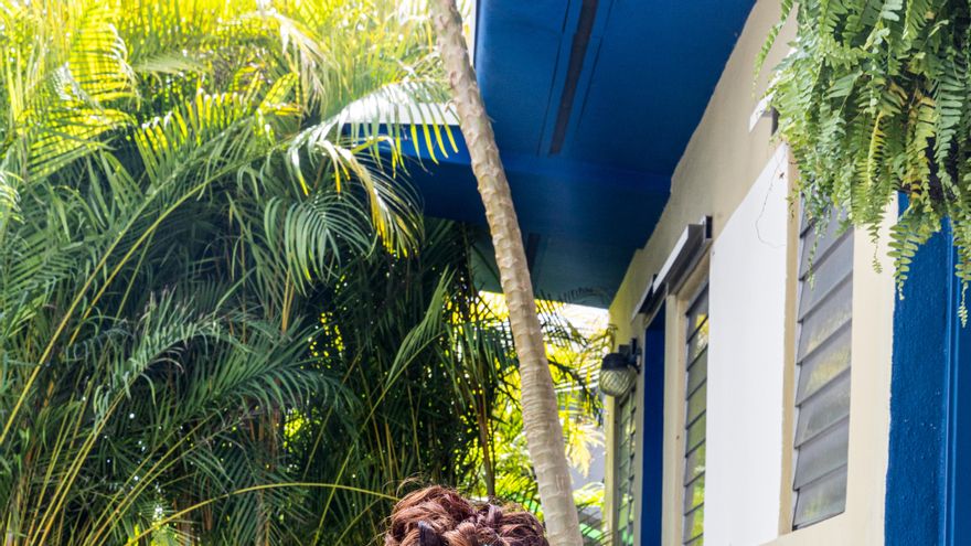 Gloria Estefan honra su herencia con el nuevo sencillo de su primer álbum en 18 años