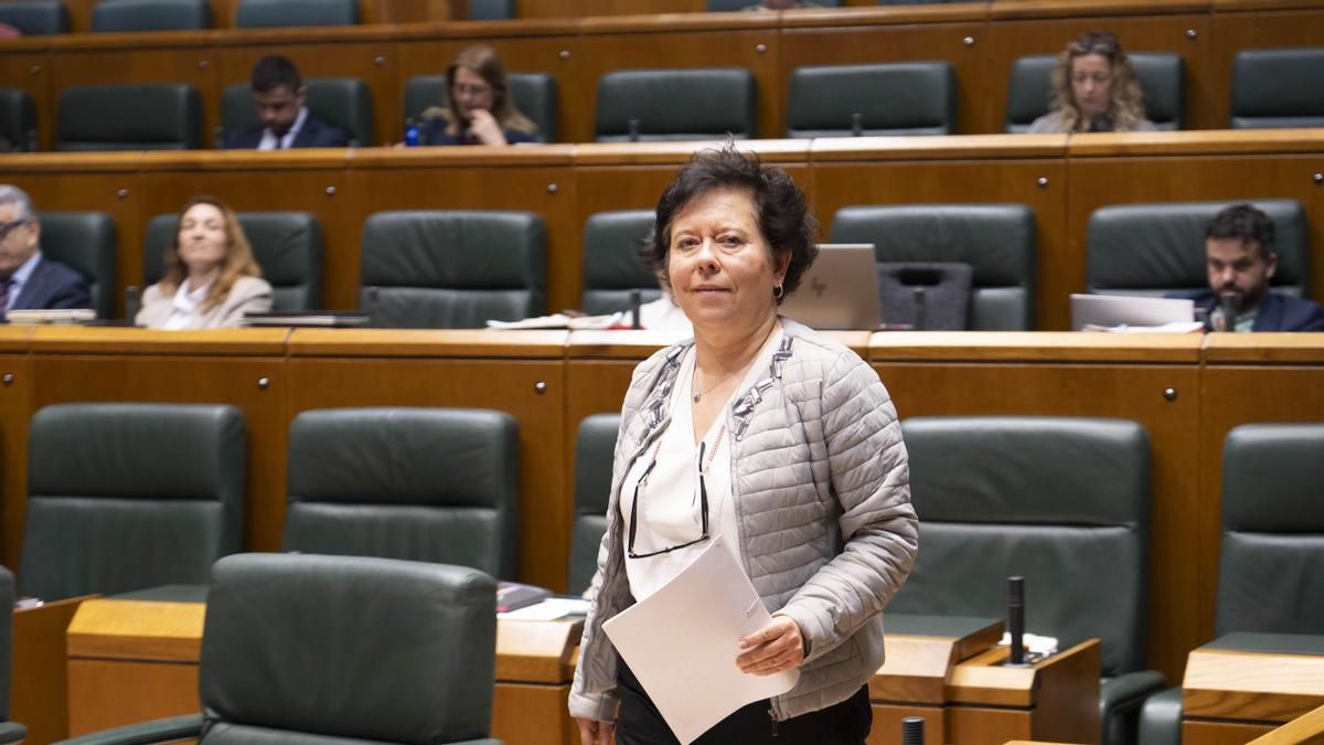 PNV y PSE-EE se dan una tregua el debate sobre la cubrición del Topo en Donostia en el Parlamento Vasco