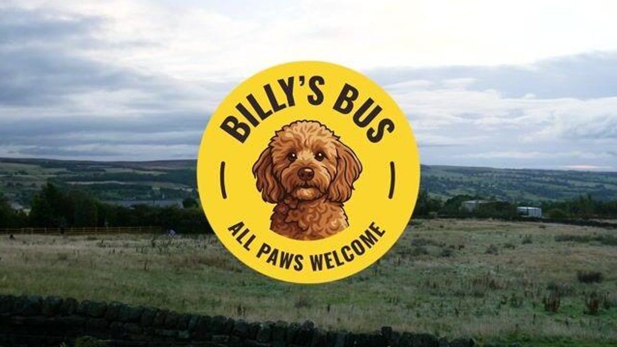 Billy’s Bus: el autobús solo para perros que lleva sonrisas a la comunidad