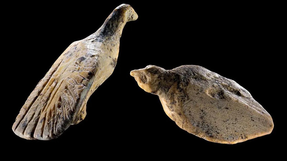 Hechas de marfil y talladas hace 40.000 años: las peculiares figurillas de pájaros que han encontrado los arqueólogos
