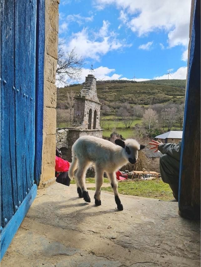 Churrito, uno más del pueblo. / Foto Francisco L. Pozo / Infobierzo